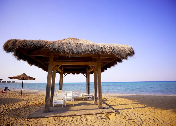 Resort Bluebay-asia Elsokhna -families Only 3*